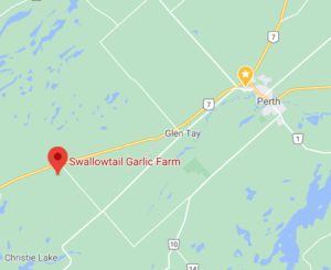 Swallowtail Farm is at  2191 Bathurst 5th Concession.  (just off the Cameron Side Rd.)  15 minutes west of Perth. 