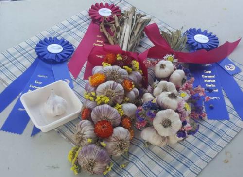 Best Decorated Braid (1st) Best Softneck Braid (2nd) and Best Softneck Bulb (2nd) for Portugeorge — at Carp Garlic Festival